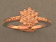1B00645.jpg