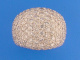 1B905.jpg