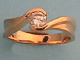 1D01625.jpg