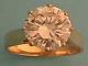 1D01664.jpg