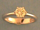 1D01945.jpg