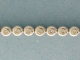 1D02000.jpg