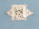 1D02654.jpg