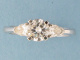 1D02663.jpg