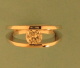 1D03907.jpg