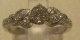 1D04778.jpg