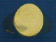 1H00176.jpg