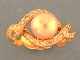 1P01066.jpg