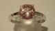 1P02702.jpg