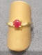 1P04185.jpg