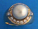 1p00904.jpg