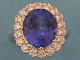 1p01005.jpg