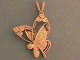 2D00679.jpg