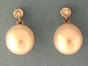 3P00497.jpg