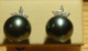 3P01042.jpg