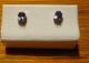 3S03549.jpg