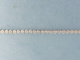 4D00426.jpg
