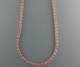 5D00087.jpg