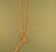 5D00088.jpg
