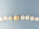 6D00186.jpg