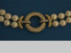 6d00117.jpg
