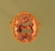 RP68779.jpg