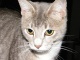 dscf3370.jpg