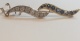16583.3.jpg