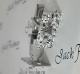 20845cl3.jpg