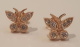bearrings.jpg