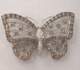 31120-98.jpg