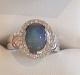 52834.ring.jpg