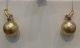 55336pde.jpg