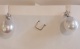 55582.jpg