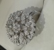 170436seg3.jpg