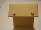 imgp7699.jpg