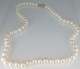 pearls_gold_clas.jpg