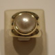 imgp9251.jpg