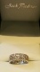 61801.jpg