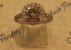 horey62571.jpg