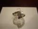 imgp9536.jpg