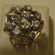 dsc01689.jpg