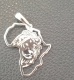 lionmapofafrica.jpg