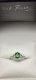 67007.a.jpg