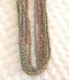 reberio51.jpg