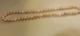 fredanicola002.jpg