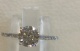 ninabring.jpg