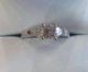 3gill76010.jpg