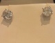 84528.jpg