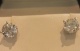 86851.jpg